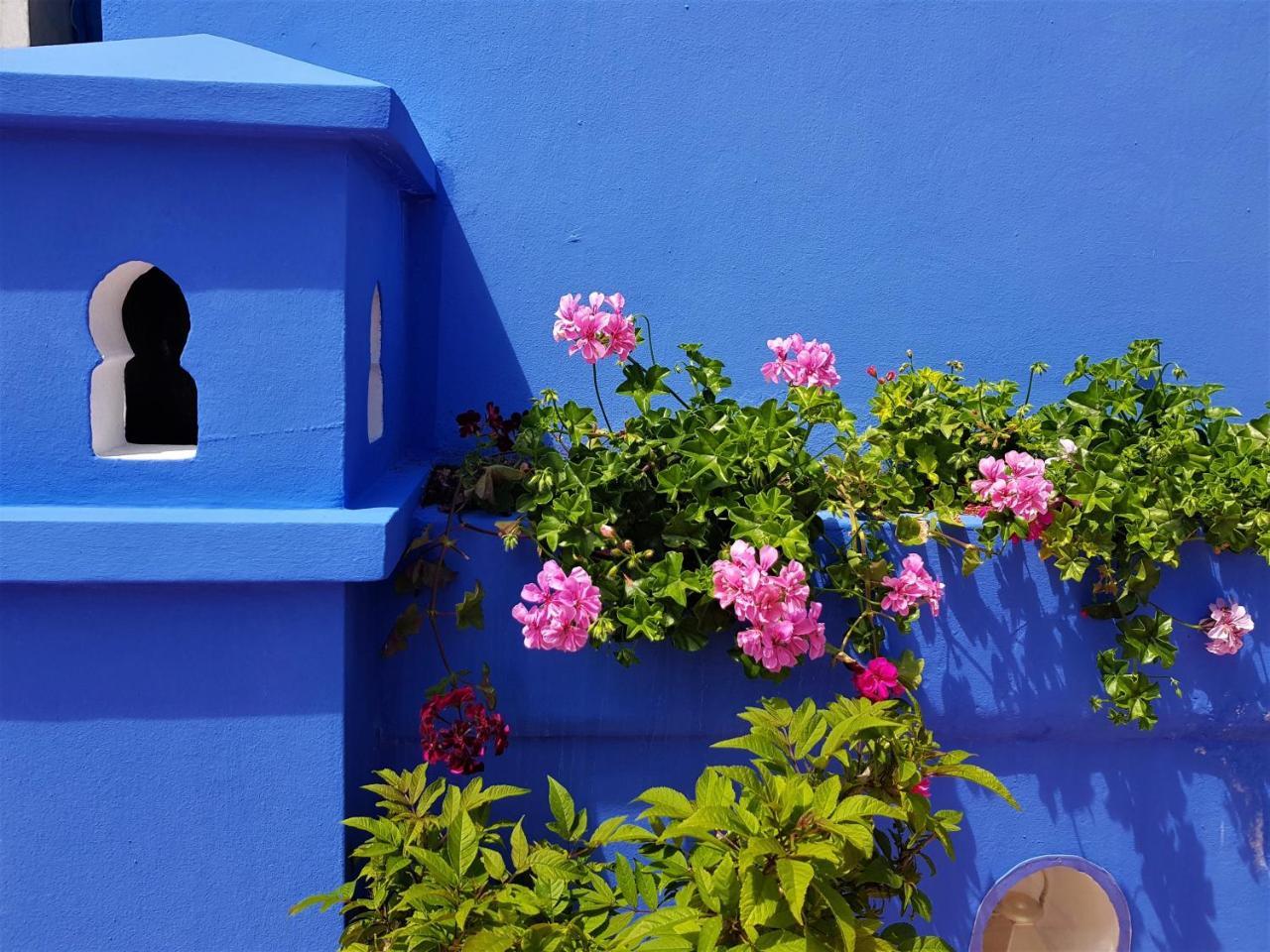 Dar Manara - Medina D'Asilah Hotel Ngoại thất bức ảnh